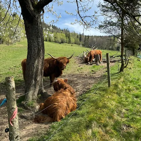 度假居 Na Skarpie *