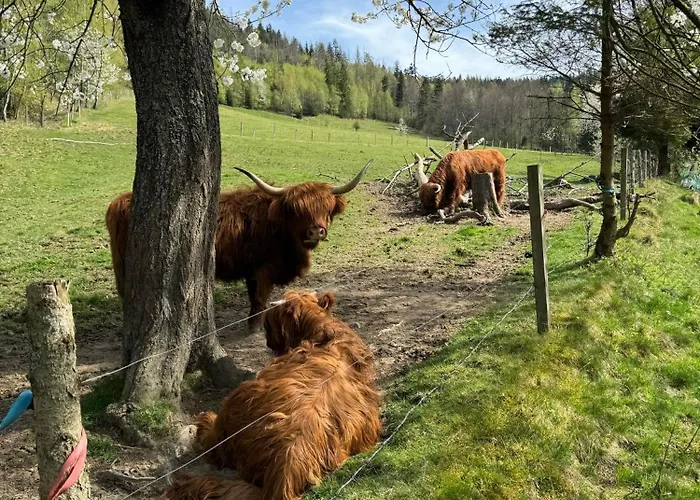 בית נופש Na Skarpie *